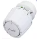 Tête thermostatique RA 2990 DANFOSS