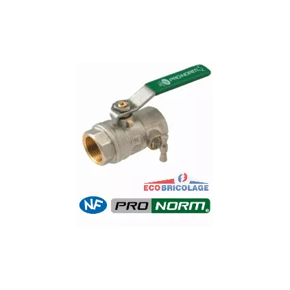 Vanne pronorm à Purge SOMATHERM NF femelle à poignée verte