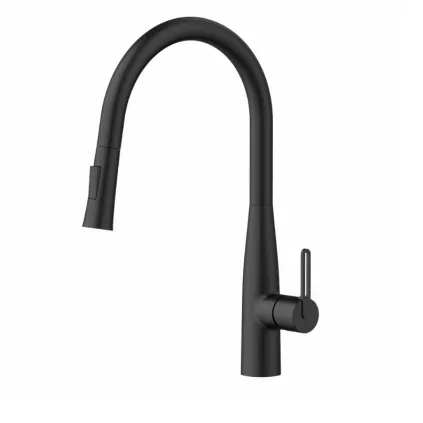 Mitigeur Évier avec douchette Hanaé Noir Mat