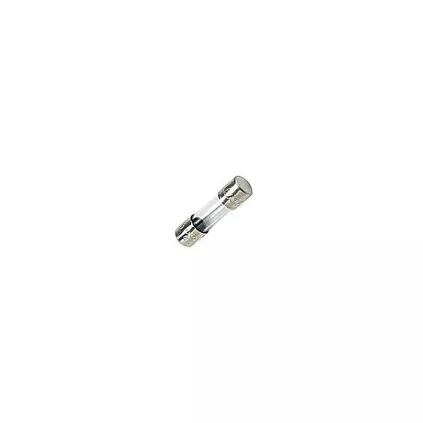 10 FUSIBLES 2A 250V T 61003456