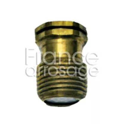 Purgeur automatique fin de ligne laiton 1/2" M