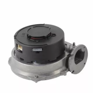 Ventilateur rg128/1300-3612-lel/co B1243543 AUER - eco-bricolage