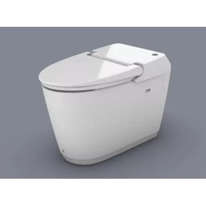 Cuvette compact SANISMART Sans bride SFA