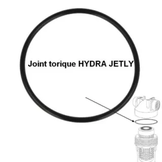 Joint Torique Pour Filtre HYDRA JETLY 938045