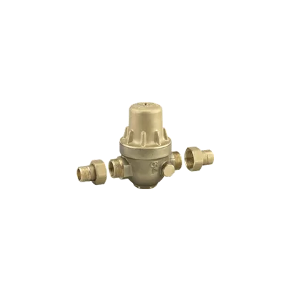 Réduteur Pression PRECISIO Multi-filetage WATTS