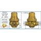 Réduteur Pression PRECISIO Multi-filetage WATTS