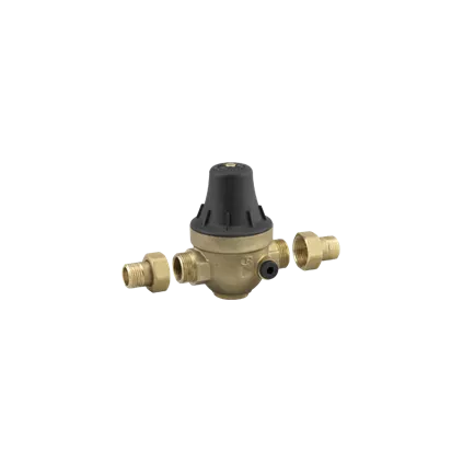 Réducteur de pression PRECISIO 2 multifilatage WATTS 86315