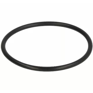 Joint de bocal torique RG 2 EP2.5mm WATTS 22L0199020