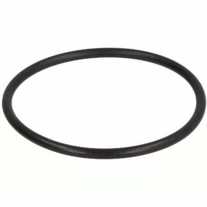 Joint de bocal torique RG 2 EP2.5mm WATTS 22L0199020