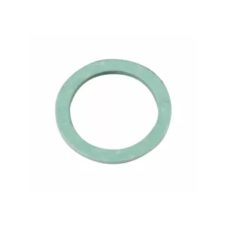 100 joints plats ¾ S5485100 Saunier DUVAL