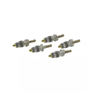 OBUS de VALVE pour vase expansion 5 Pièces Chaffoteaux 60036472