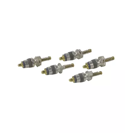 OBUS de VALVE pour vase expansion 5 Pièces Chaffoteaux 60036472