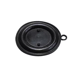 10 MEMBRANES+PLAQUES 05404400