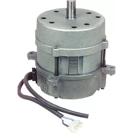 Moteur de Bruleur 90 Wts Riello 3008489