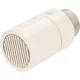 Tête thermostatique TL1 RBM