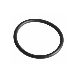 Joint R36 viton (capteur V97) FRISQUET 240134