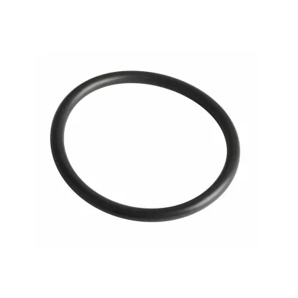 Joint R36 viton (capteur V97) FRISQUET 240134