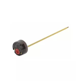Thermostat de chauffe-eau à canne TAS/RTD 300 monophasé