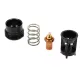 Kit cartouche Thermostatique 61°C THERMOVAR Combi modèle ERP