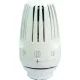 Tête thermostatique R469 Giacomini