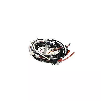 CABLAGE NU ECONCEPT 35C 39811620 FERROLI