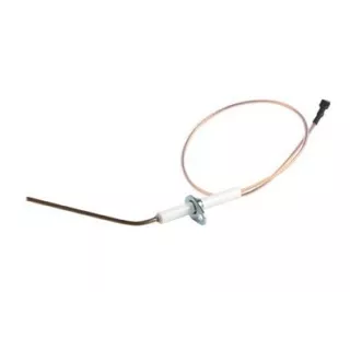 Electrode Ionisation DOMUS 4050365 RIELLO