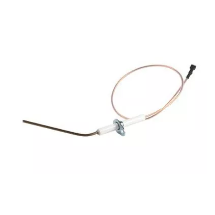 Electrode Ionisation DOMUS 4050365 RIELLO