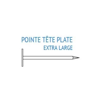 Pointes a SHINGLE 3x20 mm 1KG ECO-BRICOLAGE clous et vis bricolage