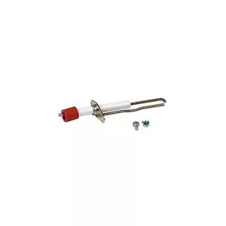 ELECTRODE FAMILY 4364790 RIELLO