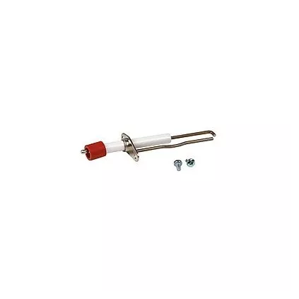 ELECTRODE FAMILY 4364790 RIELLO