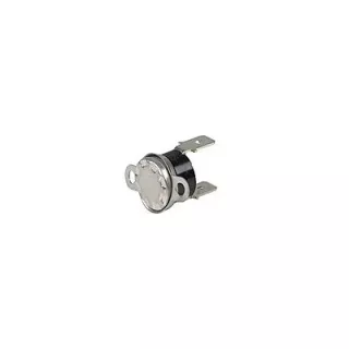 THERMOSTAT FUMEE 4634973 RIELLO