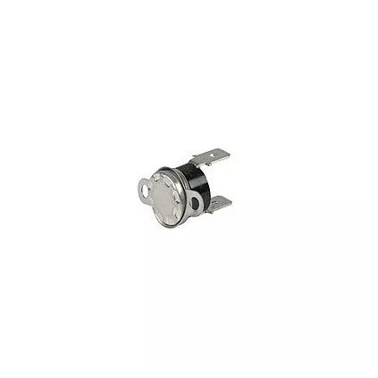 THERMOSTAT FUMEE 4634973 RIELLO