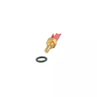 SONDE SANITAIRE 4366451 RIELLO