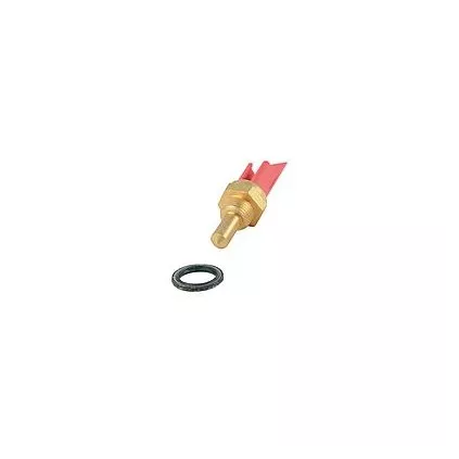 SONDE SANITAIRE 4366451 RIELLO