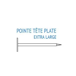 Pointe Tête Plate Extra Large 3x50 1KG ECO-BRICOLAGE 477493