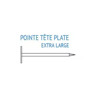 Pointe Tête Plate Extra Large 3x70 1KG ECO-BRICOLAGE Visserie profess