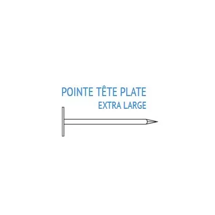 Pointe Tête Plate Extra Large 3x70 1KG ECO-BRICOLAGE Visserie professionel