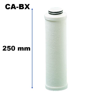 Cartouche CA 10 BX 25 Microns Charbon Actif JETLY 493836