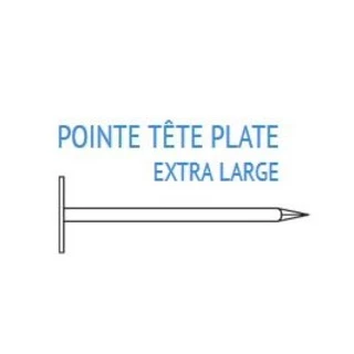 Pointe a SHINGLE 3x20 mm 100 GR ECO-BRICOLAGE eco-bricolage.com