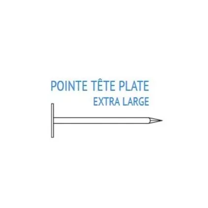 Pointe a SHINGLE 3x20 mm 100 GR ECO-BRICOLAGE eco-bricolage.com