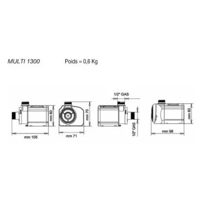 Pompe de circulation MULTI 1300 JETLY
