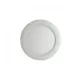 LED PLAFOND DIAM 300 ROND 18 WATT BLANC 6000°K ECO-BRICOLAGE - eco-br