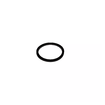 Joint de chauffe eau Ø 105mm ARISTON- CORAIL - ALTERNA