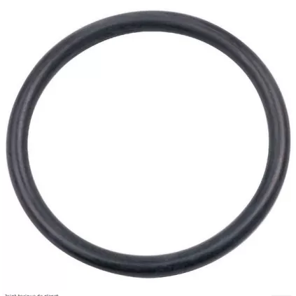 Joint de BOCAL MIGNON (petit modèle) JETLY