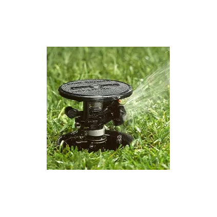  Arroseur escamotable Maxi paw rain bird