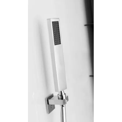 Cabine HORIZON Niche 80x80 Porte Pivotante