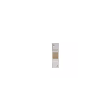 Tableau électrique 2 modules à équiper DEBFLEX pour 2 disjoncteurs