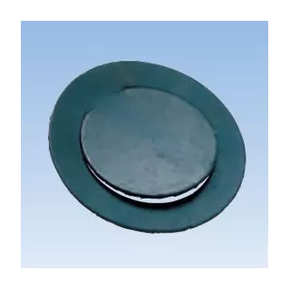 Joint clapet 1 Anti retour WATTS