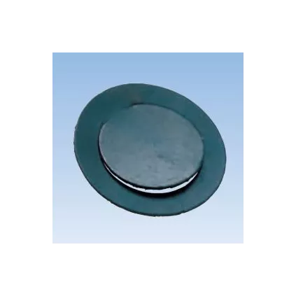 Joints clapet 1 Anti retour WATTS