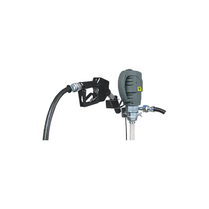 Pompe Electrique HORNET W85 H 950 Wts avec pistolet